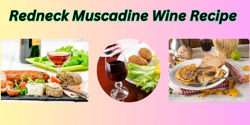 Redneck Muscadine Wine Recipe